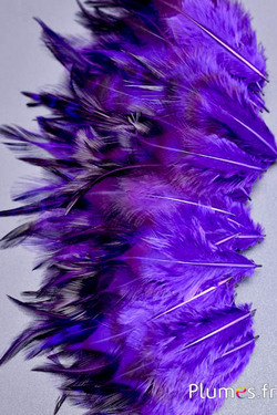 Coq - 5-10 cm - violet-café